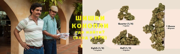 ГАЛЛЮЦИНОГЕННЫЕ ГРИБЫ Белоозёрский