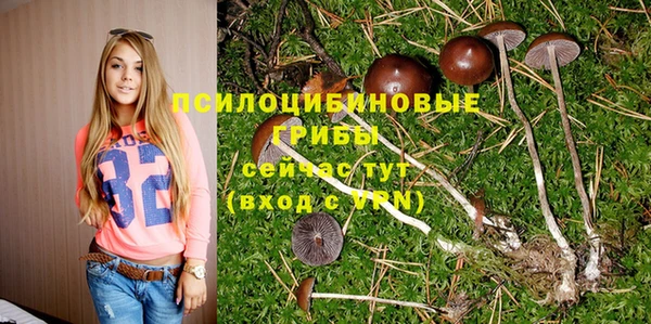 соль курить ск Беломорск