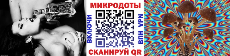 Галлюциногенные грибы MAGIC MUSHROOMS  MEGA как войти  Ставрополь 